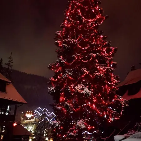 видовий !!! Апартаменты Поляница