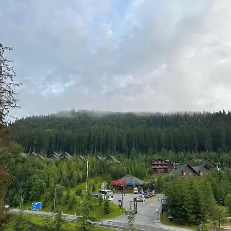 Апартаменты видовий !!! Поляница