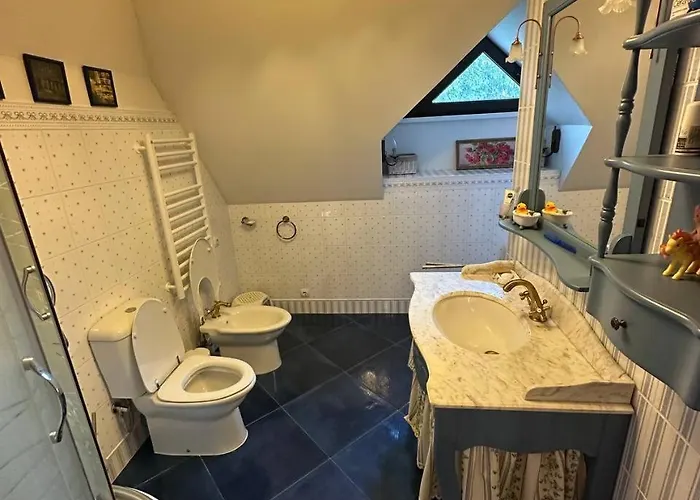 Apartment видовий !!! Palyanytsya