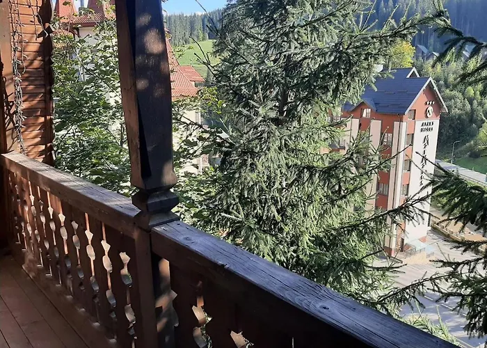 Daire видовий !!! Palyanytsya